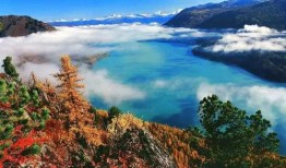 喀纳斯景区爆料事件最新,揭秘神秘事件背后的真相